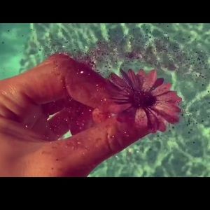 Meet your Posher, Ivy